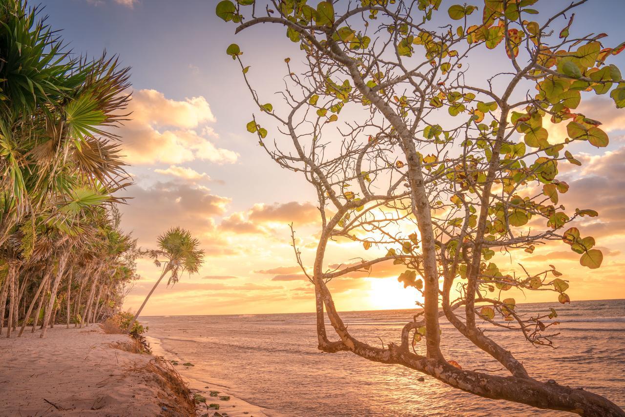 Platinum Yucatan Princess Adults Only Плая дел Кармен Екстериор снимка Sunset at the beach